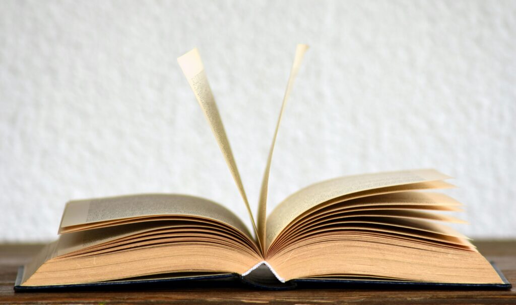Literary Fiction vs Contemporary Fiction: What's the Difference?